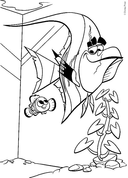 coloriage Nemo dans l aquarium avec gill